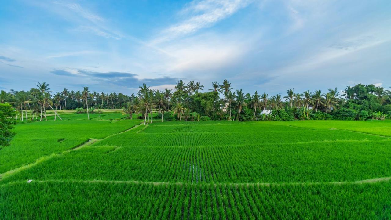 Ferienwohnung Maruan Sari Ubud Exterior foto